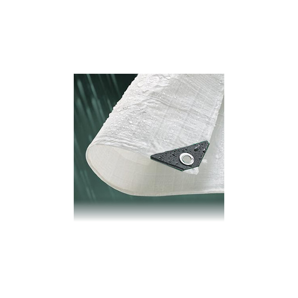 (4M x 6M) Clear Mono Cover Waterproof Tarpaulin Sheet Tarp Cover With Eyelets