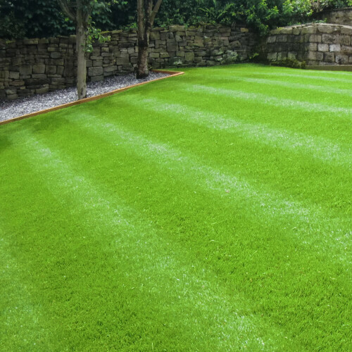 Gardeners Dream (1KG) Groundmaster General Purpose Garden Premium Back Lawn Grass Seed Various Sizes 1