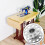 20pcs Metal Bobbin Home Domestic Sewing Machine Empty Thread Spool Universal Sewing Line Bobbin 7