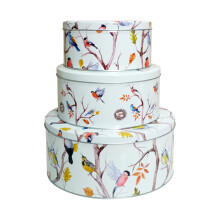 (Spring Birds) Cake Storage Tins Set 3 Round Nesting Kitchen