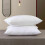 (50x 75cm) Firm Pillows 2-Pack Luxury Pillow Soft Bounce Back 2
