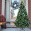 Christmas Tree 6FT 920 Branches Flocking Spray White Plus Pine Cone 6