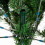 Christmas Tree 6FT 920 Branches Flocking Spray White Plus Pine Cone 4