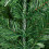 Christmas Tree 6FT 920 Branches Flocking Spray White Plus Pine Cone 5