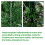 Christmas Tree 6FT 920 Branches Flocking Spray White Plus Pine Cone 9