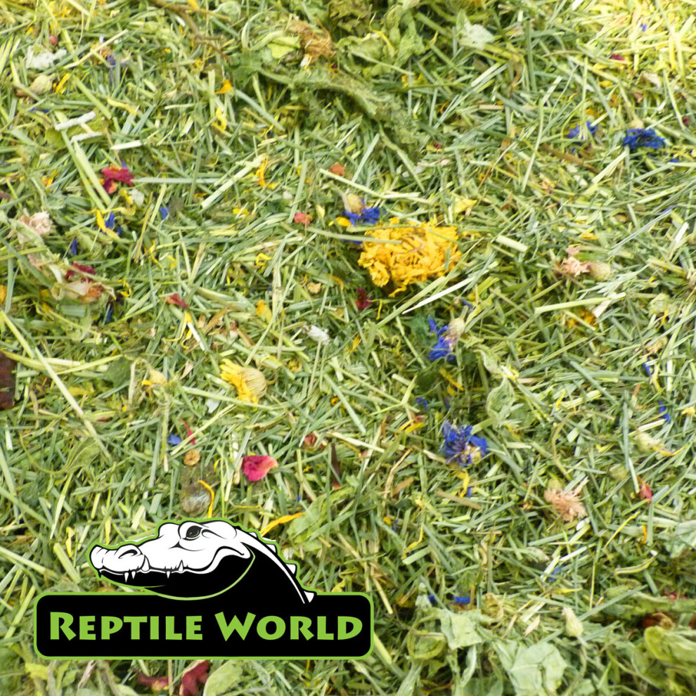 (100g) Reptile World Tortoise Edible Bedding - Flower & Plant Bedding Food, Botanical