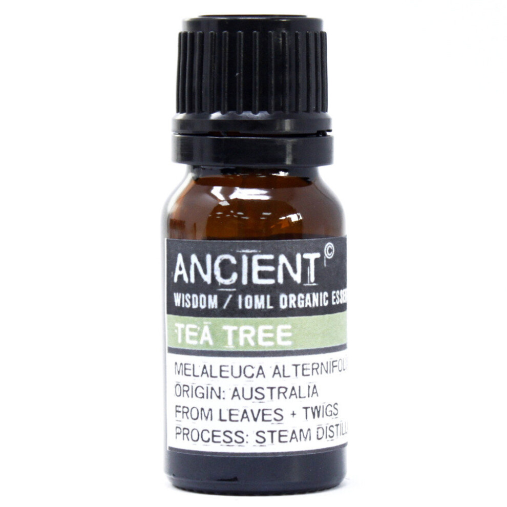 Ancient Wisdom Tea Tree Organic Essential Oil 10Ml