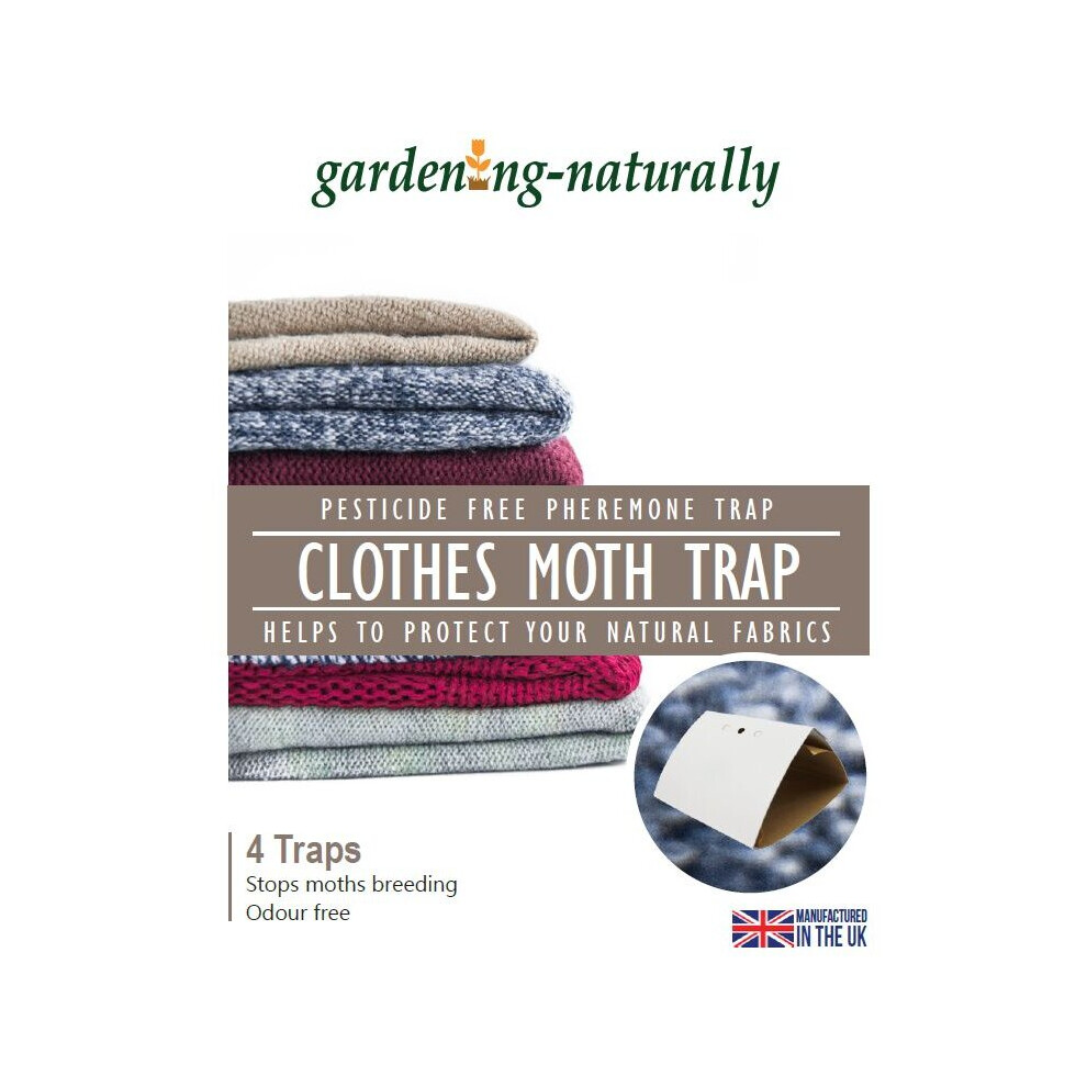 (Clothes Moth Trap Pack of 4) Clothes Moth Trap