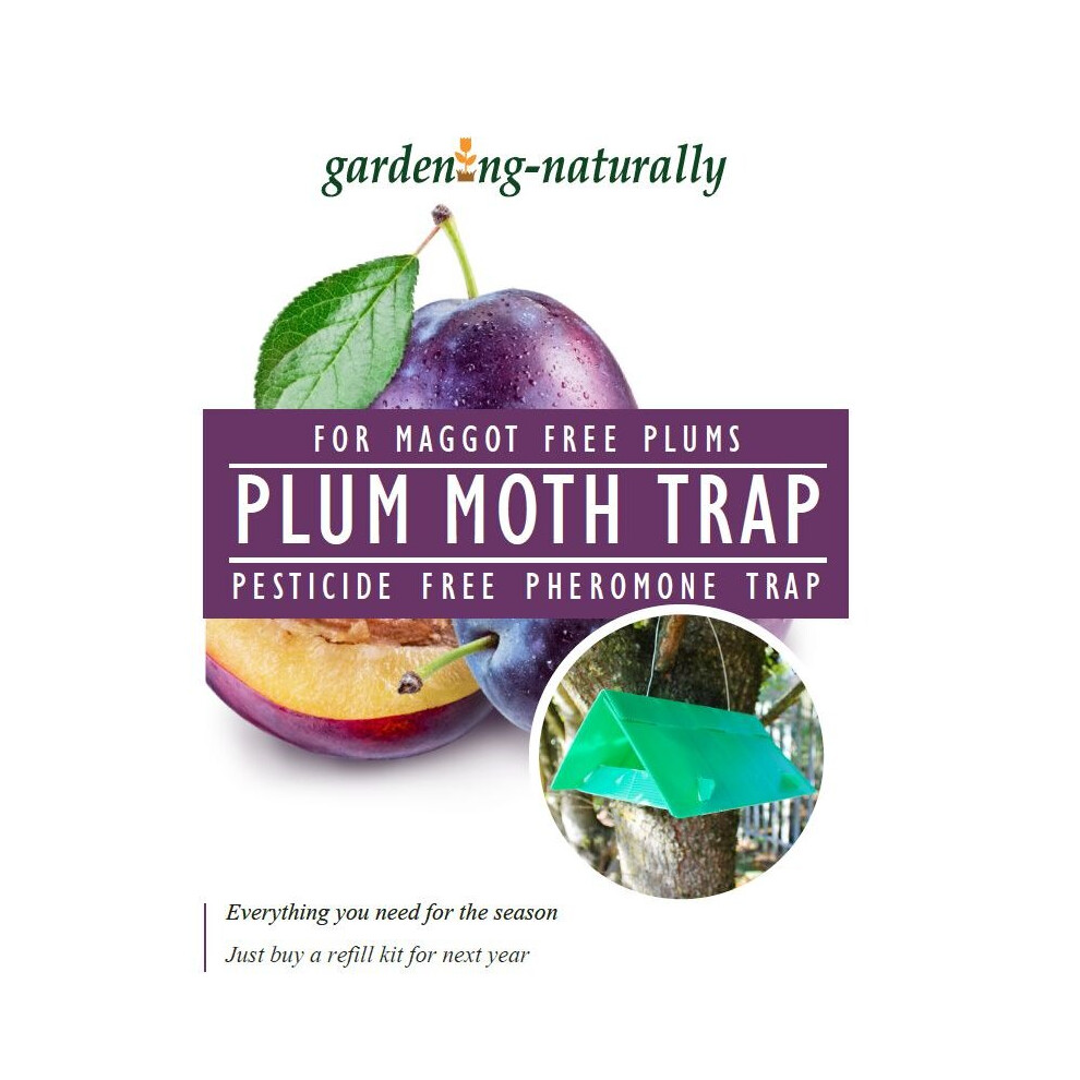 Gardening Naturally (Trap) Plum Moth Trap And Refill