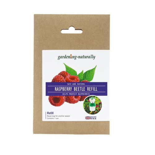 (Refill) Raspberry Beetle Trap and Refill