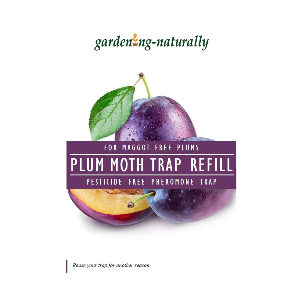 Gardening Naturally (Refill) Plum Moth Trap And Refill