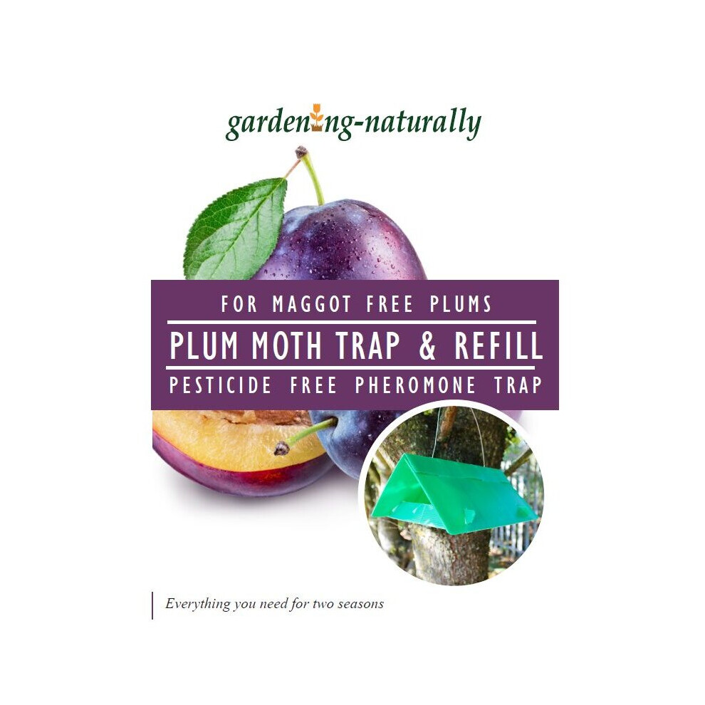 Gardening Naturally (Trap And Refill) Plum Moth Trap And Refill