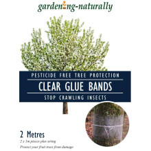 Grease Bands for Fruit Trees Clear