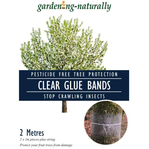Grease Bands for Fruit Trees Clear