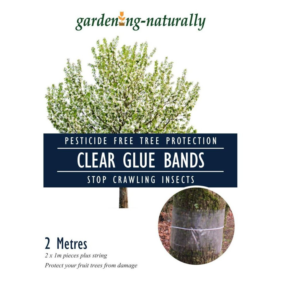 Grease Bands For Fruit Trees Clear