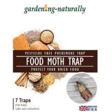 (Food Moth Trap Pack of 7) Food Moth Trap