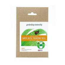 (Refill) Chafer Beetle Trap and Refill