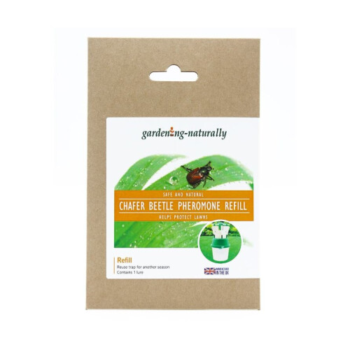 (Refill) Chafer Beetle Trap and Refill