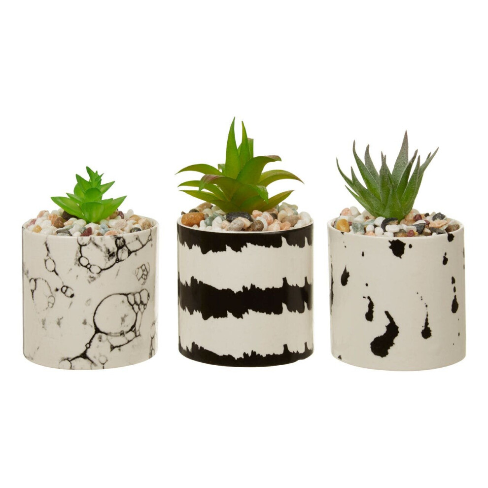 Premier Housewares Mimo Set of 3 White / Black Succulents