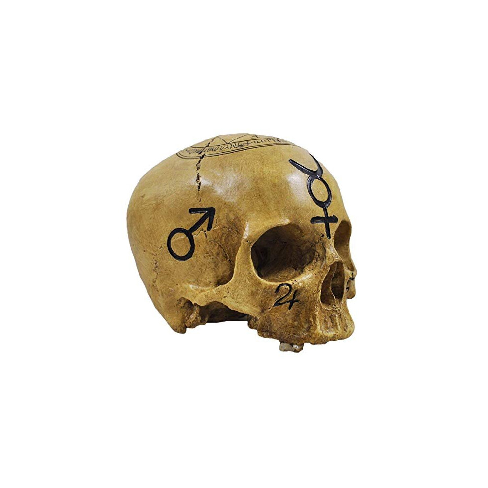 Witchcraft Skull Ornament. Spooky Magical Halloween Decoration. Gothic Pagan Celtic.