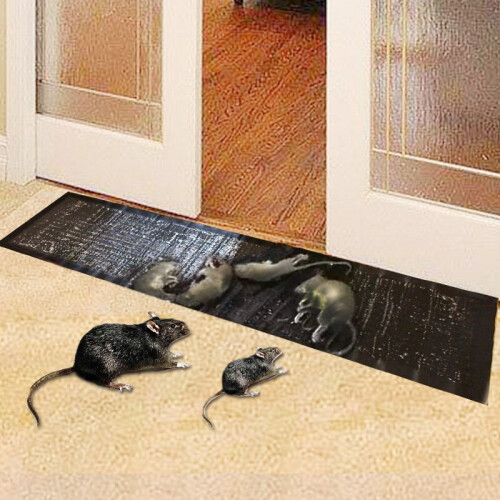 Mice Traps Mouse Rat Trap Bug Terminator Large Size Super Rat Snake Bug Trap 2