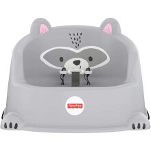 GKF91 Fisher Price Hungry Raccoon Booster Seat