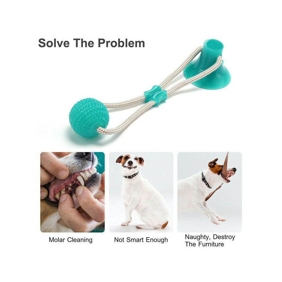 (Green) Pet Molar Bite Toy Dog Tug Rope Ball Chew Toys Pet Tooth Cleaning Suction Cup Green