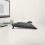Logitech Logitech MK545 Wireless Keyboard and Mouse UK layout 5