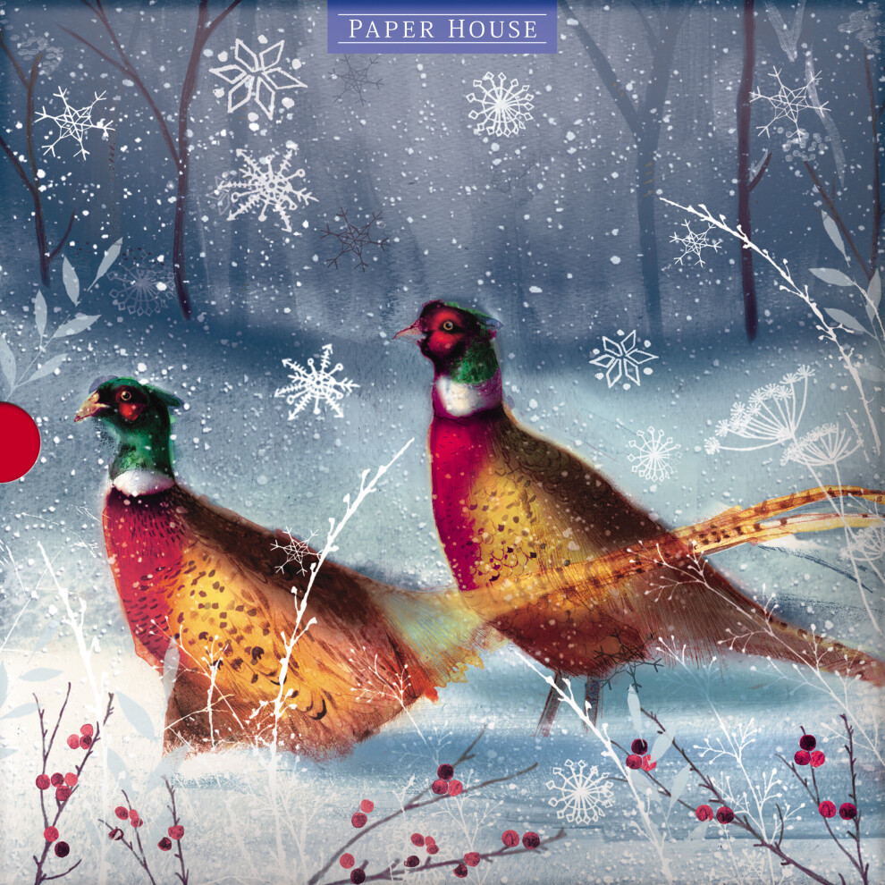 Box of 16 Festive Pheasants & Robin Christmas Cards In 2 Designs Boxed Xmas