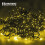 The Christmas Workshop 86340 1000 Warm White LED Chaser String Lights 4