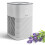 Levoit Levoit Air Purifier Home Bedroom Dual Hepa Filters Aromatherapy Diffuser New 1