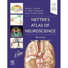 Netter's Atlas of Neuroscience