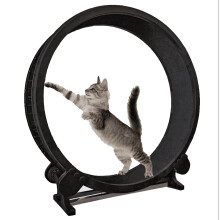 Cat Exercise Wheel / Cat Treadmill Giant Running Wheel Indoor Fitness