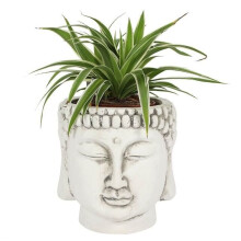 Terracotta Buddha Head Planter