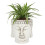 Terracotta Buddha Head Planter 1