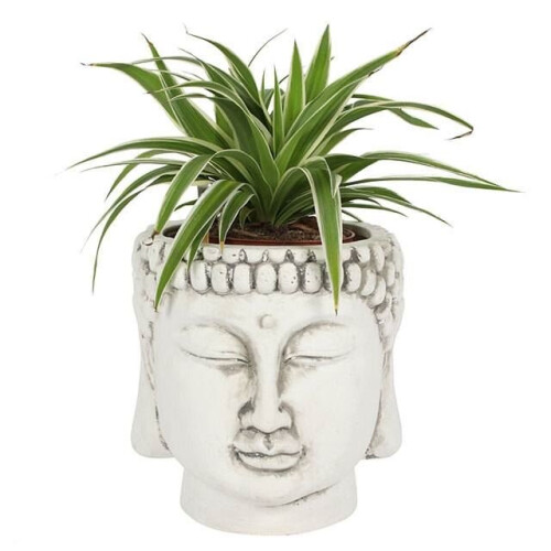 Terracotta Buddha Head Planter