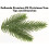 Dellonda Artificial 5ft/150cm Hinged Christmas Tree with 750+ PE/PVC Mix Tips - DH44 11