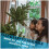 Dellonda Artificial 7ft/210cm Hinged Christmas Tree with 1400+ PE/PVC Tips - DH46 7
