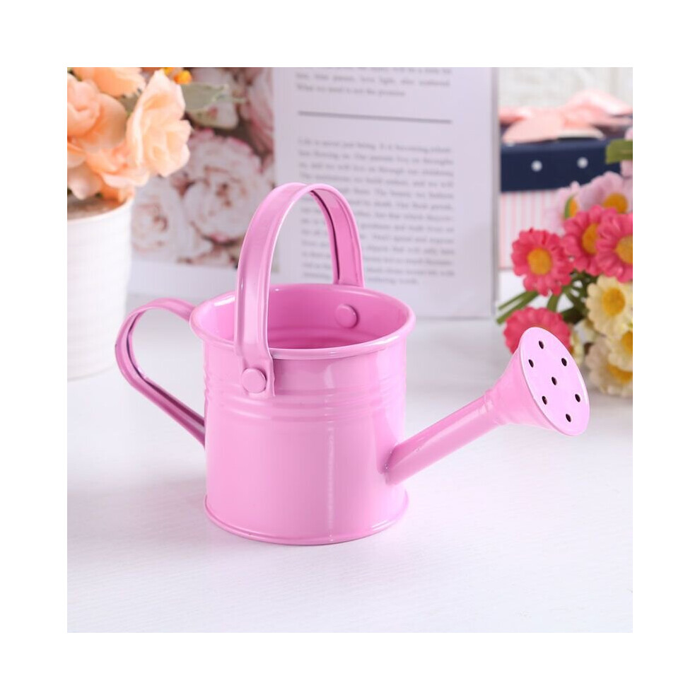 (Pink) Mini Flower Kettle Water Spraying Metal Pot Watering Bottle Home Garden Decor