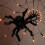 Halloween Decoration Spider Web LED Light 1 Metre 70 Orange LEDs 3