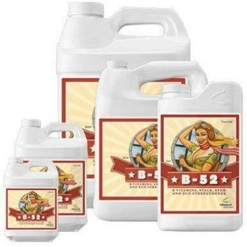 (500ml) Advanced Nutrients B-52 1