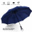 Blue 10 Ribs Windproof Automatic Open Close Folding Umbrella 1