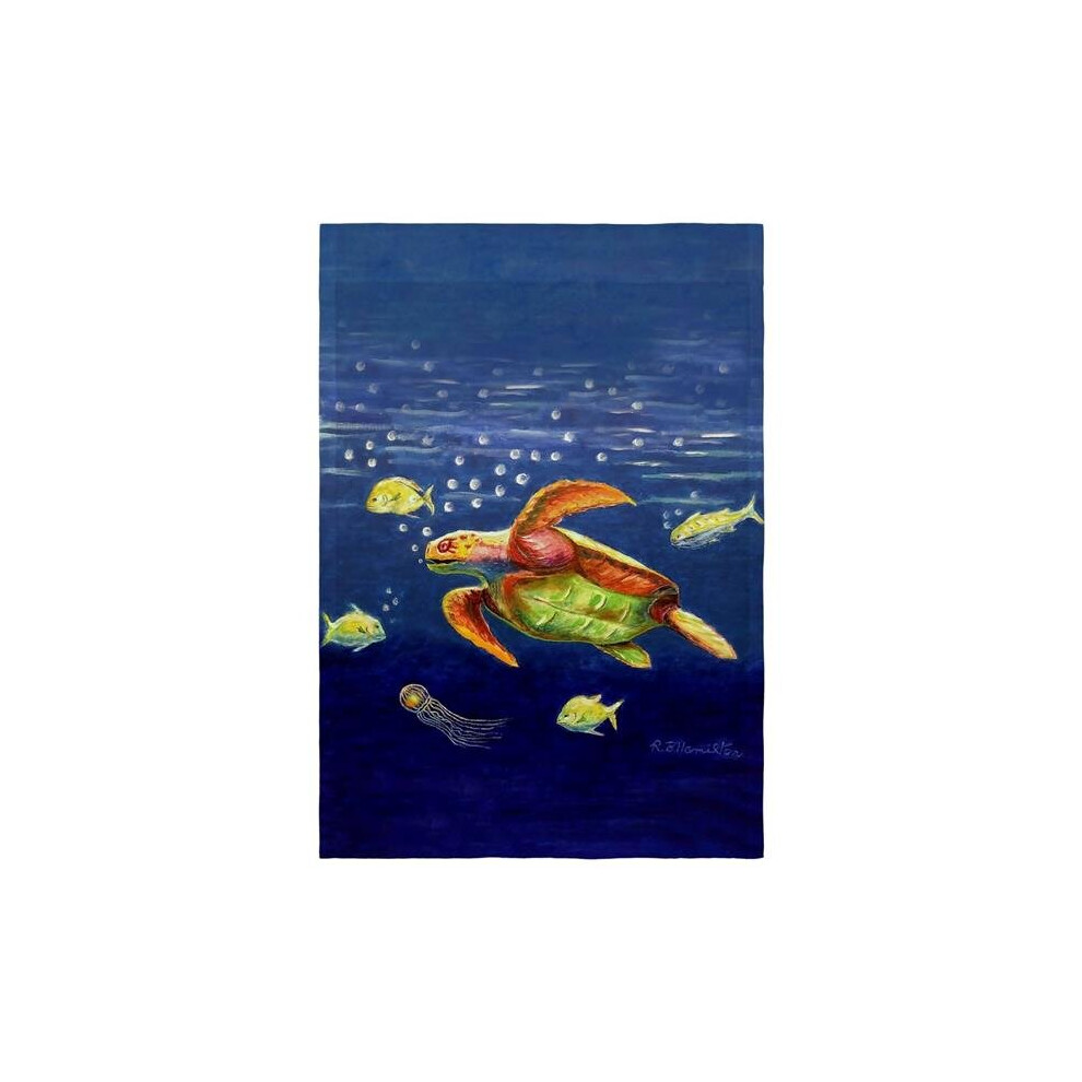 12.5 x 18 in. Dicks Sea Turtle Flag