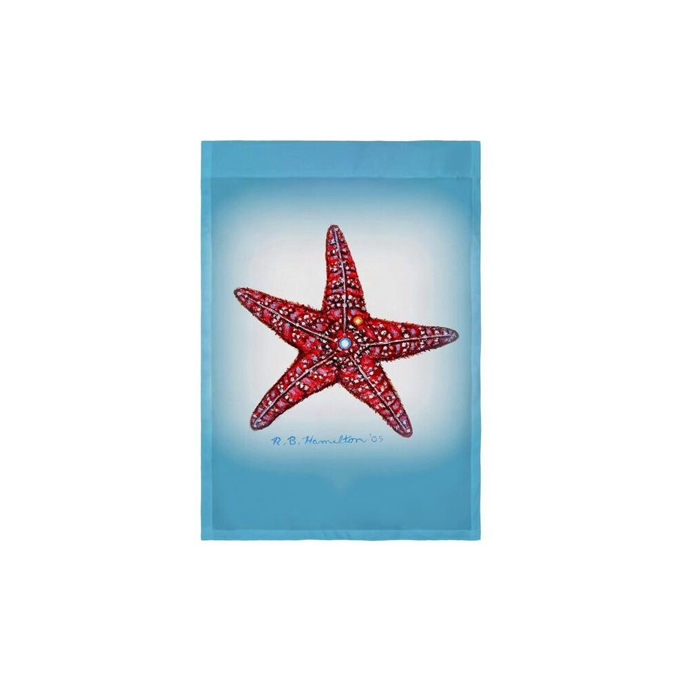 12.5 x 18 in. Dicks Starfish Flag