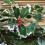 Best Artificial 7ft Christmas Holly Ivy Garland String with Berries 3