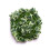 Best Artificial 7ft - 210cm Variegated Grape Ivy Garland - IL01 6