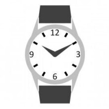 GUESS COLLECTION Watch X69118L2S