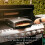 Haven Mini Outdoor BBQ Pizza Oven 7