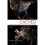 Cached 1