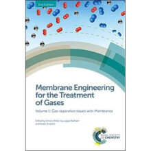 Membrane Engineering for the Treatment of Gases Volume 1 GasSeparation Issues with Membranes